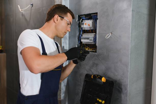 Best Electric Panel Repair  in Flowing Wells, AZ